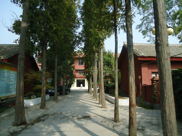 %E8%BF%9B%E5%A4%A7%E9%97%A8%E5%B0%B1%E6%98%AF%E4%B8%80%E6%9D%A1%E6%B0%B4%E6%B3%A5%E9%9D%A2%E7%94%AC%E9%81%93%EF%BC%8C%E4%B8%A4%E8%BE%B9%E7%BB%86%E5%BB%8B%E7%9A%84%E6%9D%89%E6%A0%91%E9%AB%98%E8%80%B8%E5%85%A5%E4%BA%91%EF%BC%8C%E6%AD%A3%E9%9D%A2%E6%98%AF%E7