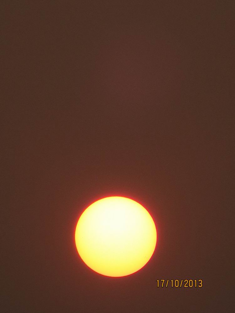 ������С IMG_2979.JPG