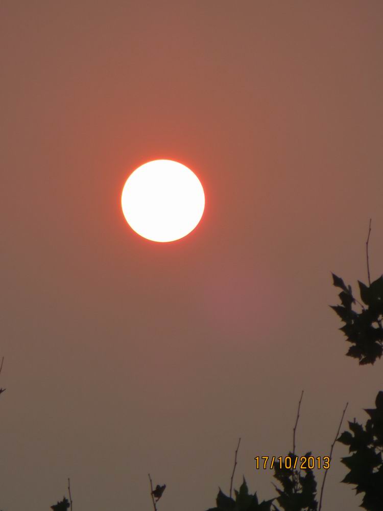 ������С IMG_2978.JPG