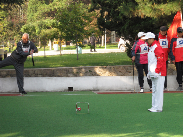 ȫ�����ڿ�����