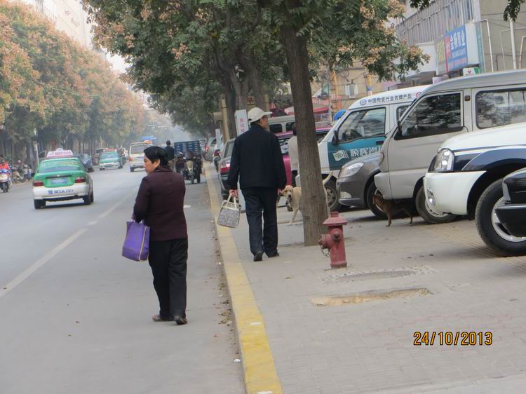 ������С IMG_3029.JPG