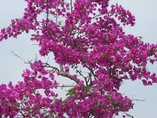 2013-6-10�������ݹ�԰ 060.jpg