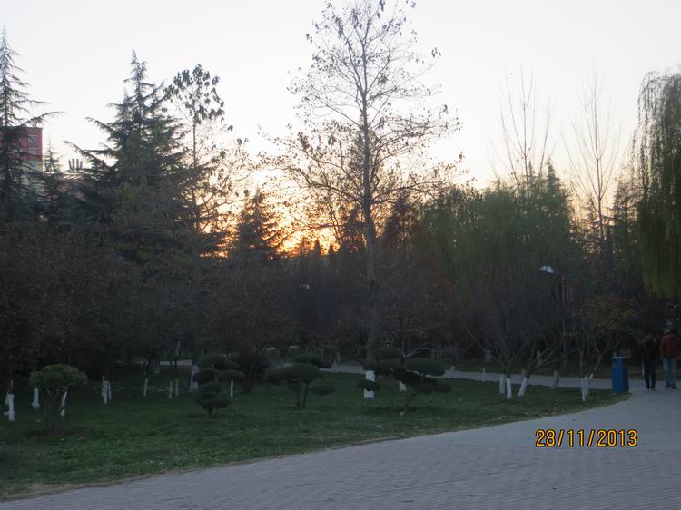 ������С IMG_3212.JPG