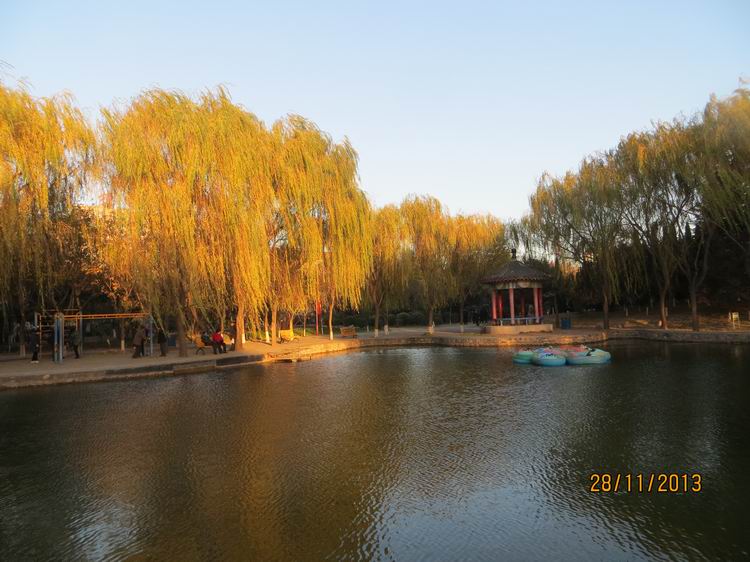 ������С IMG_3166.JPG