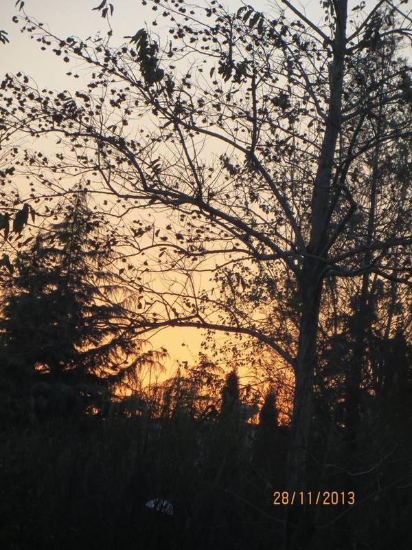 ������С ��ת IMG_3213.JPG