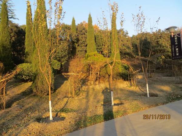 ������С IMG_3164.JPG