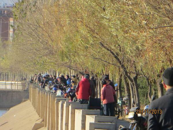 ������С IMG_3123.JPG