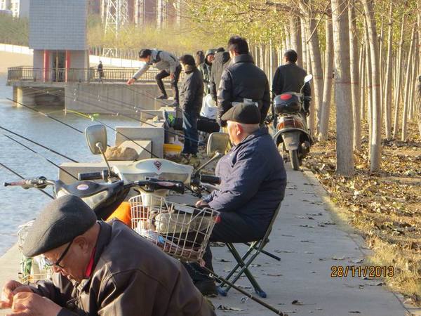 ������С IMG_3113.JPG