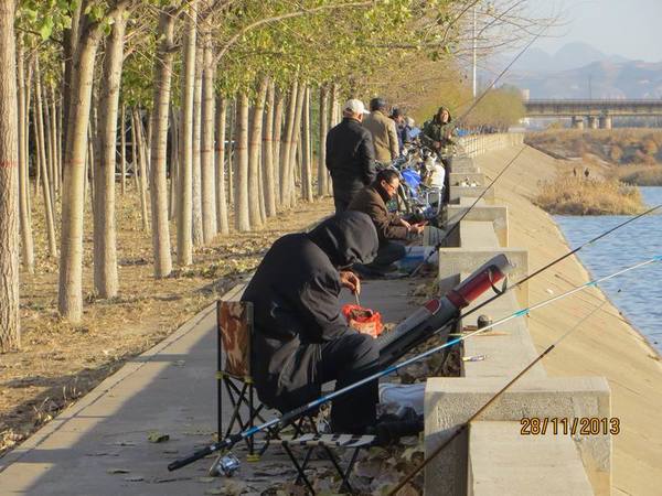 ������С IMG_3110.JPG