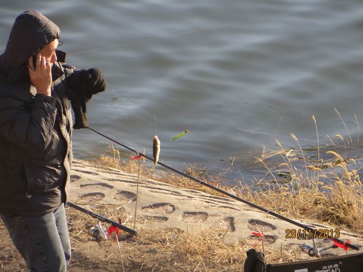 ������С IMG_3125.JPG