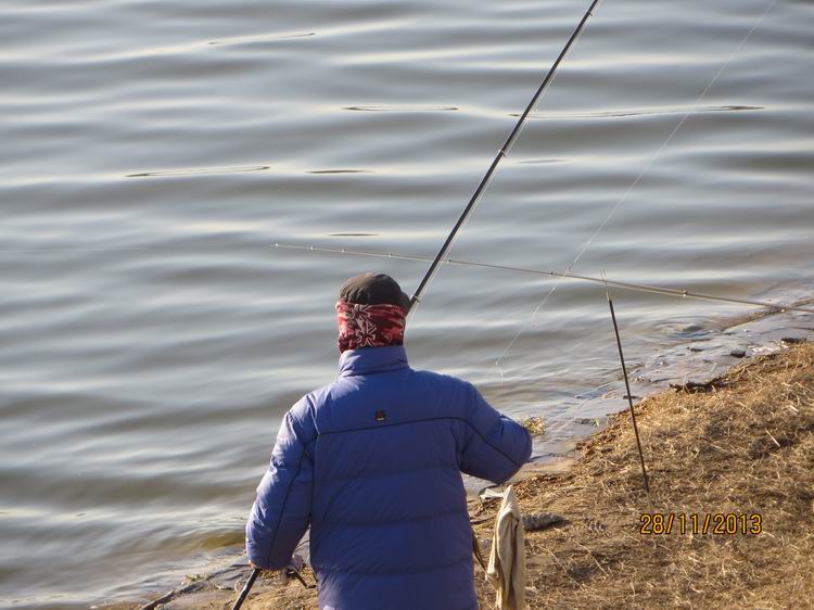 ������С IMG_3118.JPG