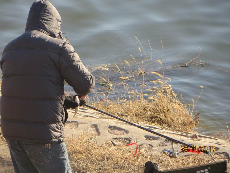 ������С IMG_3127.JPG