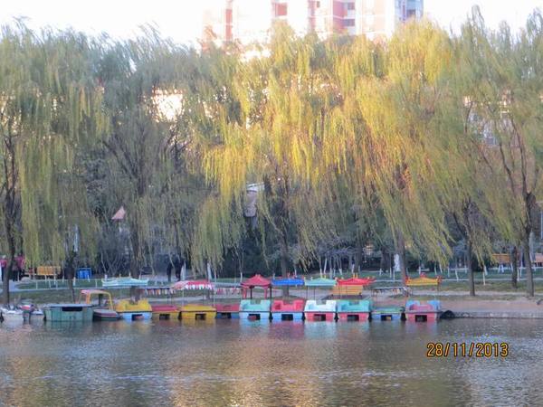 ������С IMG_3175.JPG