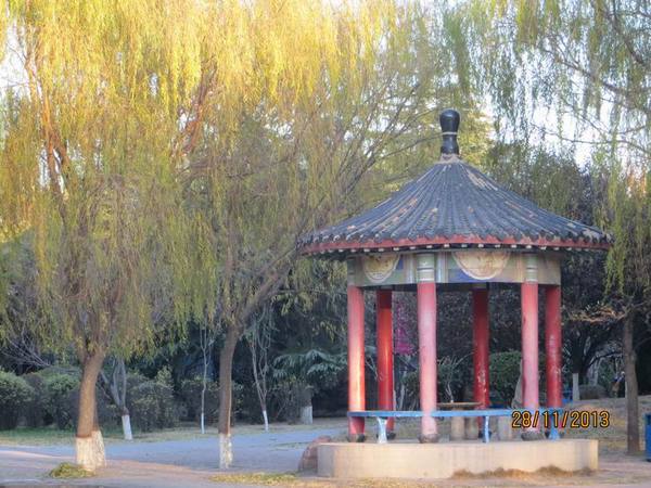 ������С IMG_3167.JPG