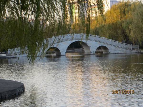 ������С IMG_3174.JPG