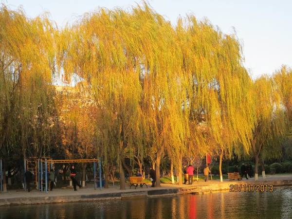 ������С IMG_3172.JPG