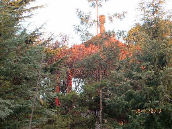 ������С IMG_3188.JPG