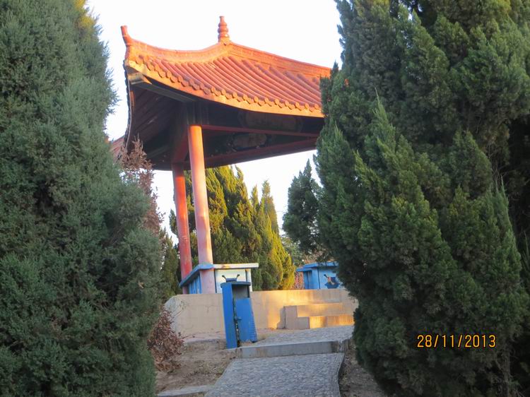 ������С IMG_3176.JPG