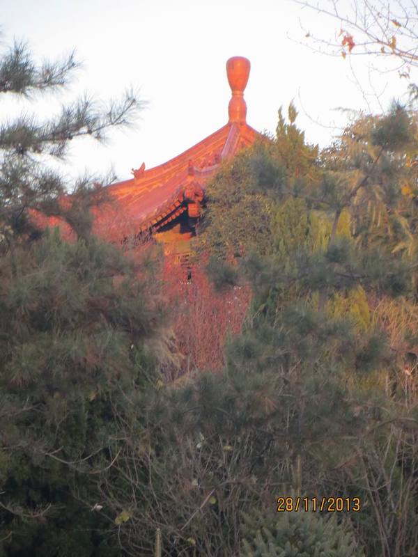 ������С ��ת IMG_3192.JPG