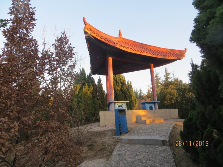 ������С IMG_3178.JPG