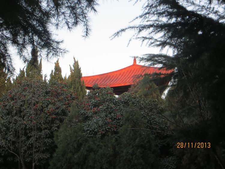 ������С IMG_3193.JPG