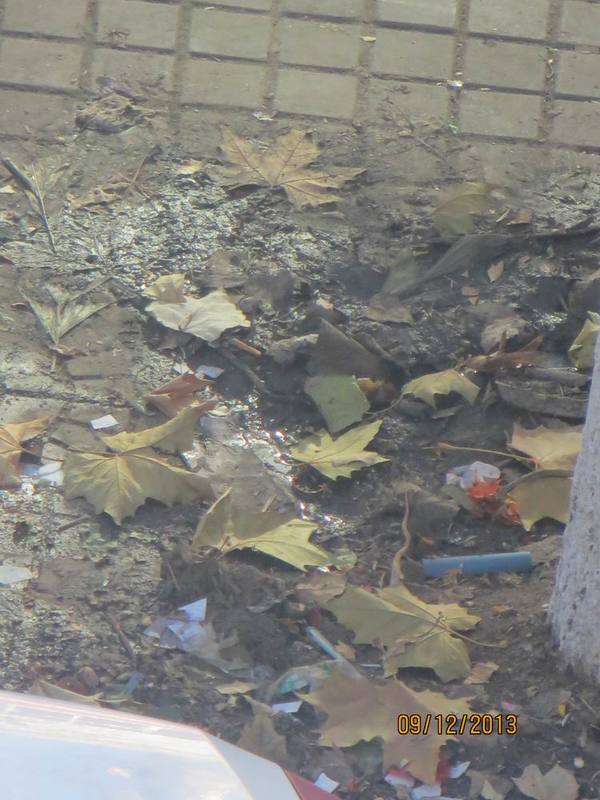 ������С ��ת IMG_3777.JPG