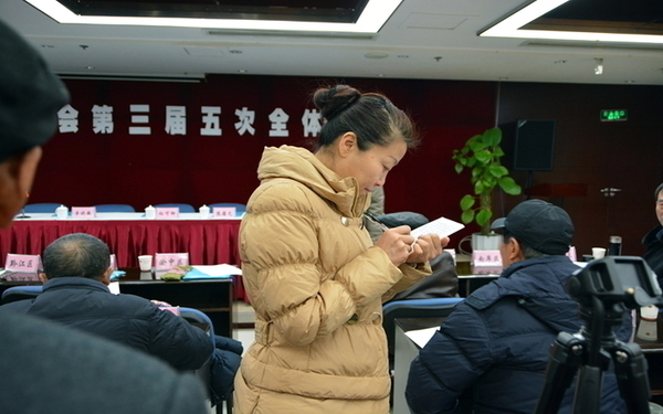 ������ƽ