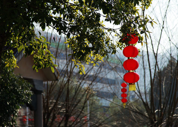 �������Ƭ 142.jpg