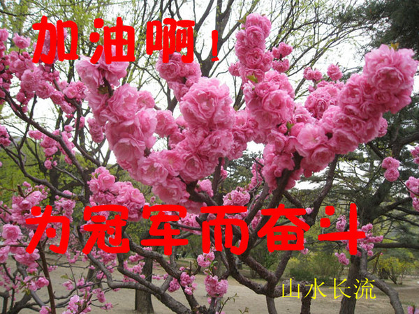 ����ѽ Ϊ�ھ����ܶ�.jpg