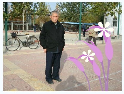 91���ӱ�������ԭ�ϣ��й�ʯ�ͻ����;����������볼���� 96�����