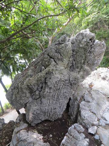 ������С ��ת IMG_5588.JPG