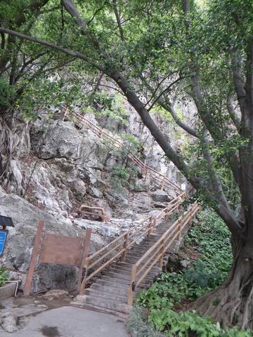 ������С ��ת IMG_5529.JPG