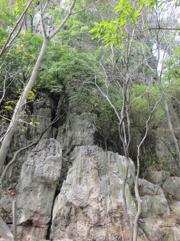 ������С ��ת IMG_5585.JPG