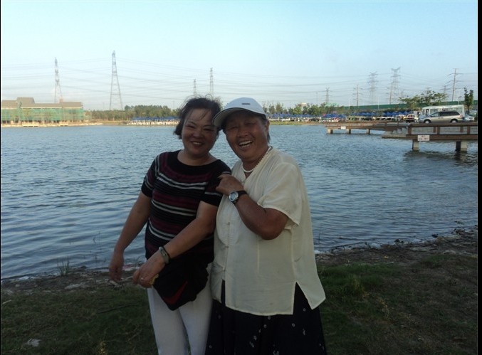 113������������Ӣ����ƽ�����Ϻ�