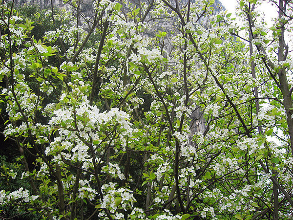 ������� 461_����.jpg