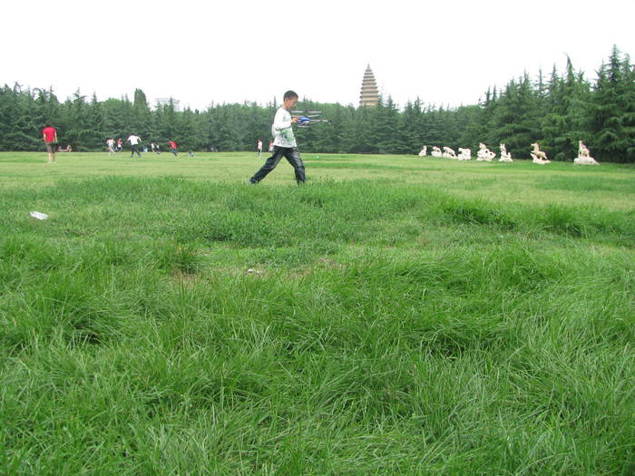 2013-6-10�������ݹ�԰ 016.jpg