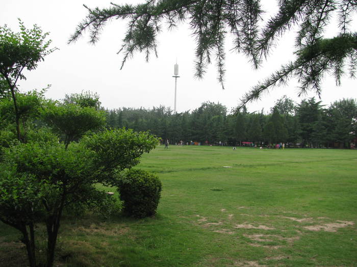 2013-6-10�������ݹ�԰ 004.jpg