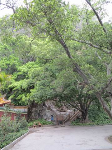 ������С ��ת IMG_5530.JPG