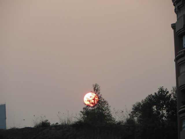 ������С IMG_5791.JPG