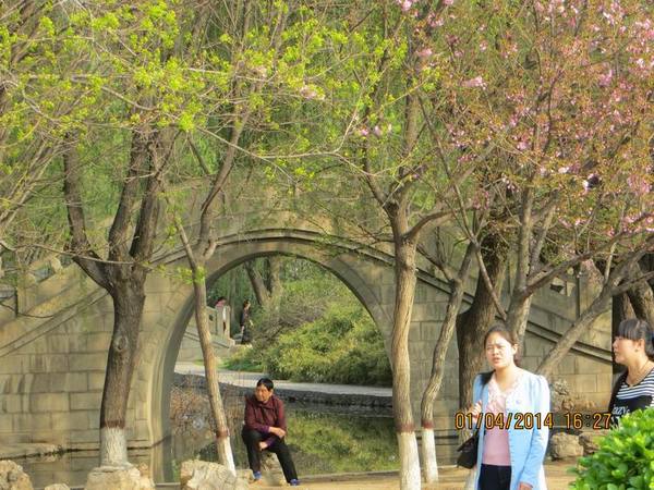 ������С IMG_6577.JPG