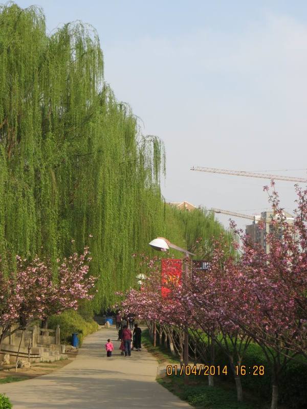 ������С IMG_6579.JPG