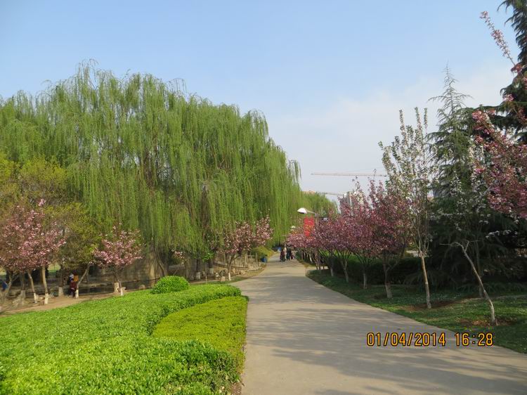 ������С IMG_6580.JPG