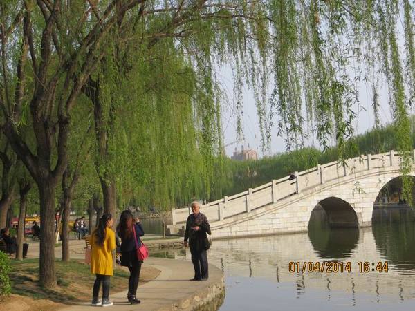 ������С IMG_6604.JPG