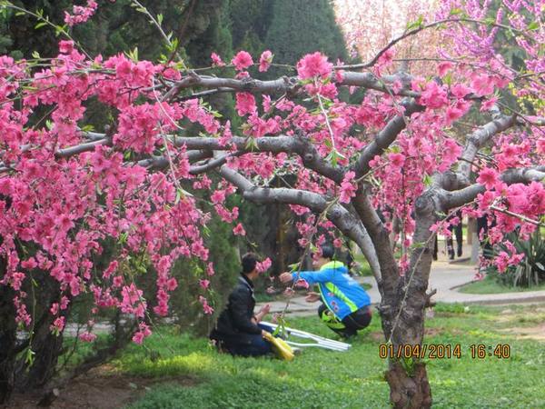 ������С IMG_6597.JPG