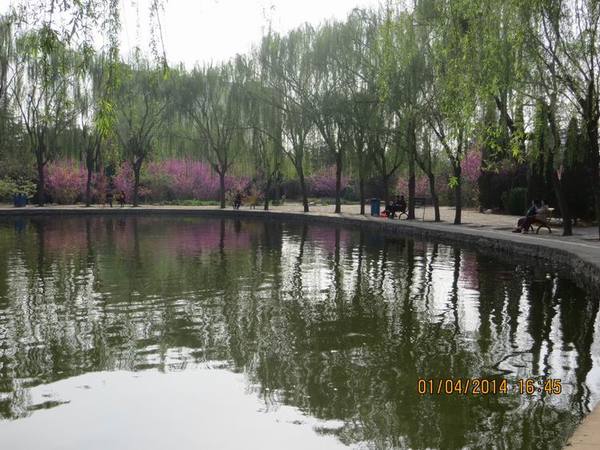 ������С IMG_6606.JPG