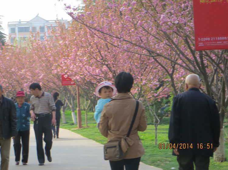 ������С IMG_6610.JPG