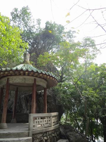 ������С ��ת IMG_5587.JPG