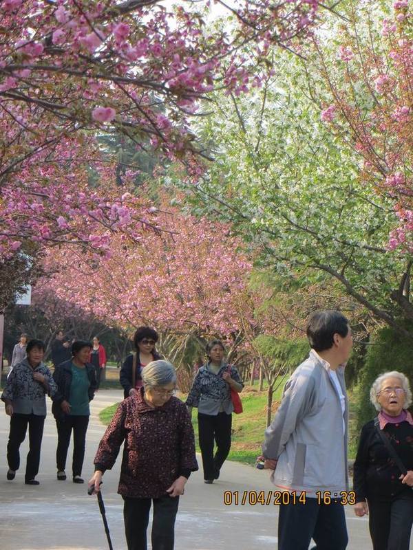 ������С IMG_6588.JPG