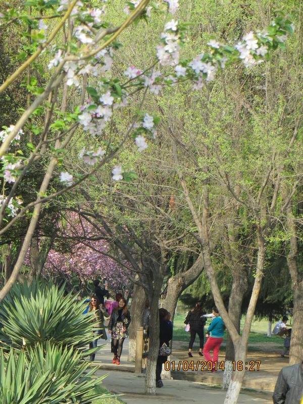 ������С IMG_6578.JPG