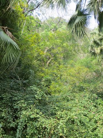 ������С ��ת IMG_5638.JPG